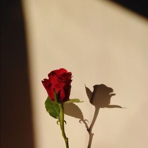 Meet your Posher, Liz